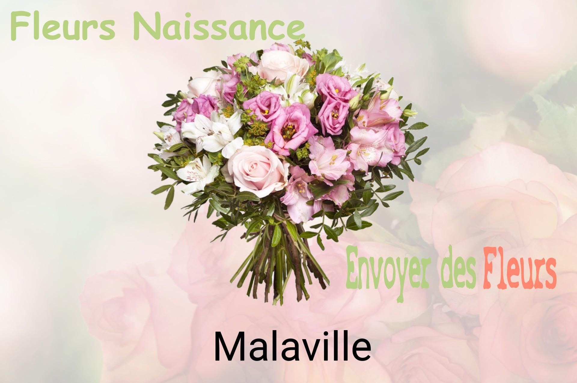 Bouquet de fleurs de naissance livré à Malaville