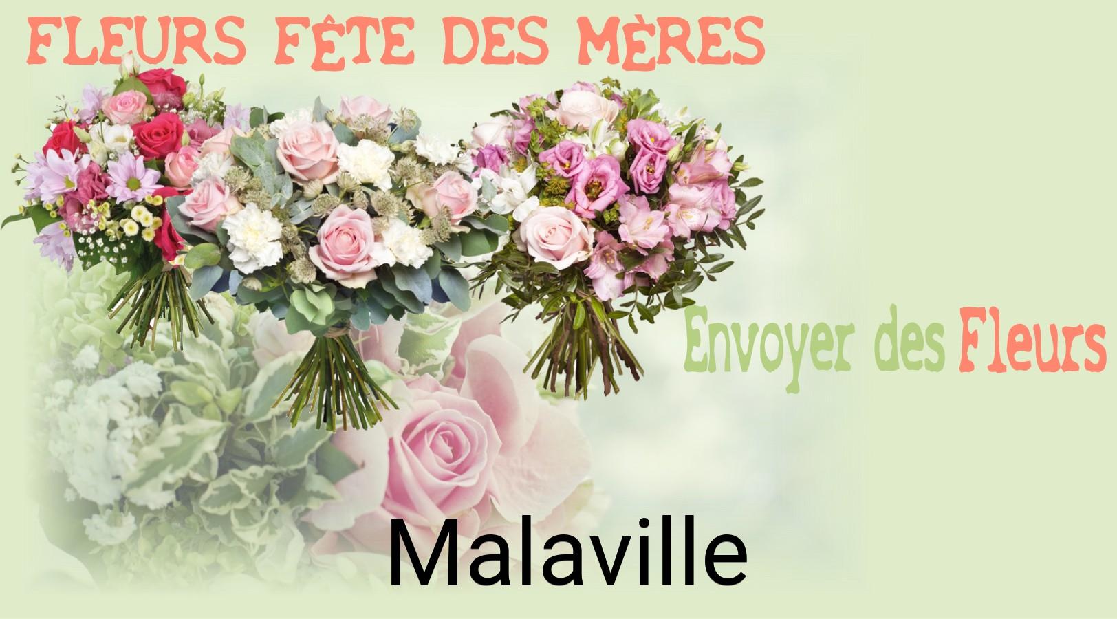 Bouquet de Fête des Mères livré à Malaville